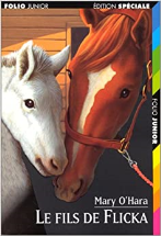 Le Fils de Flicka