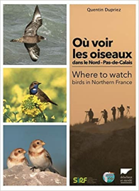 Où voir les oiseaux dans le Nord ¿ Pas-de-Calais.