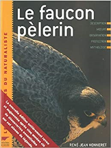 Le Faucon pèlerin