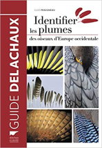 Identifier les plumes des oiseaux d'Europe occidentale