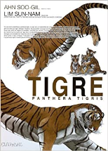 Tigre - Panthera Tigris