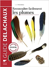 Reconnaître facilement les plumes. Identifier, collecter, conserver