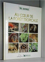 Au coeur de la forêt tropicale