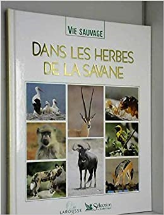 Dans les herbes de la savane