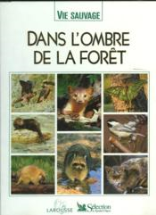 Dans L'Ombre De La Foret.