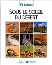 Sous le soleil du désert