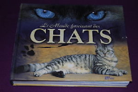 Le monde fascinant des chats