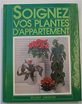 Soignez vos plantes d'appartement : Comment garder de belles plantes