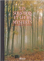 Les sous-bois et leurs mystères