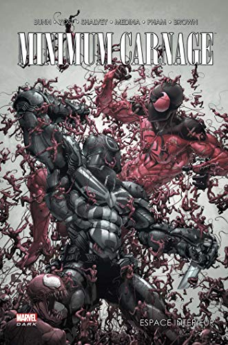 Minimum Carnage : espace intérieur