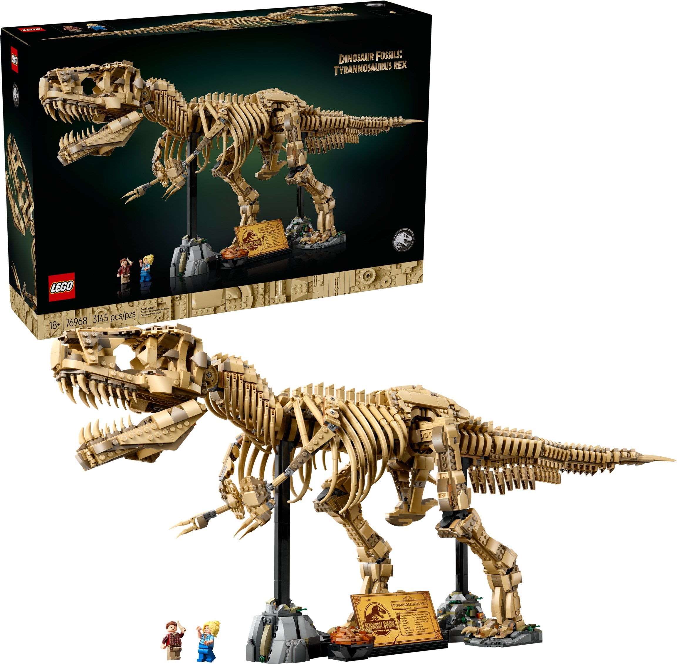 Dinosaur Fossils: Tyrannosaurus Rex