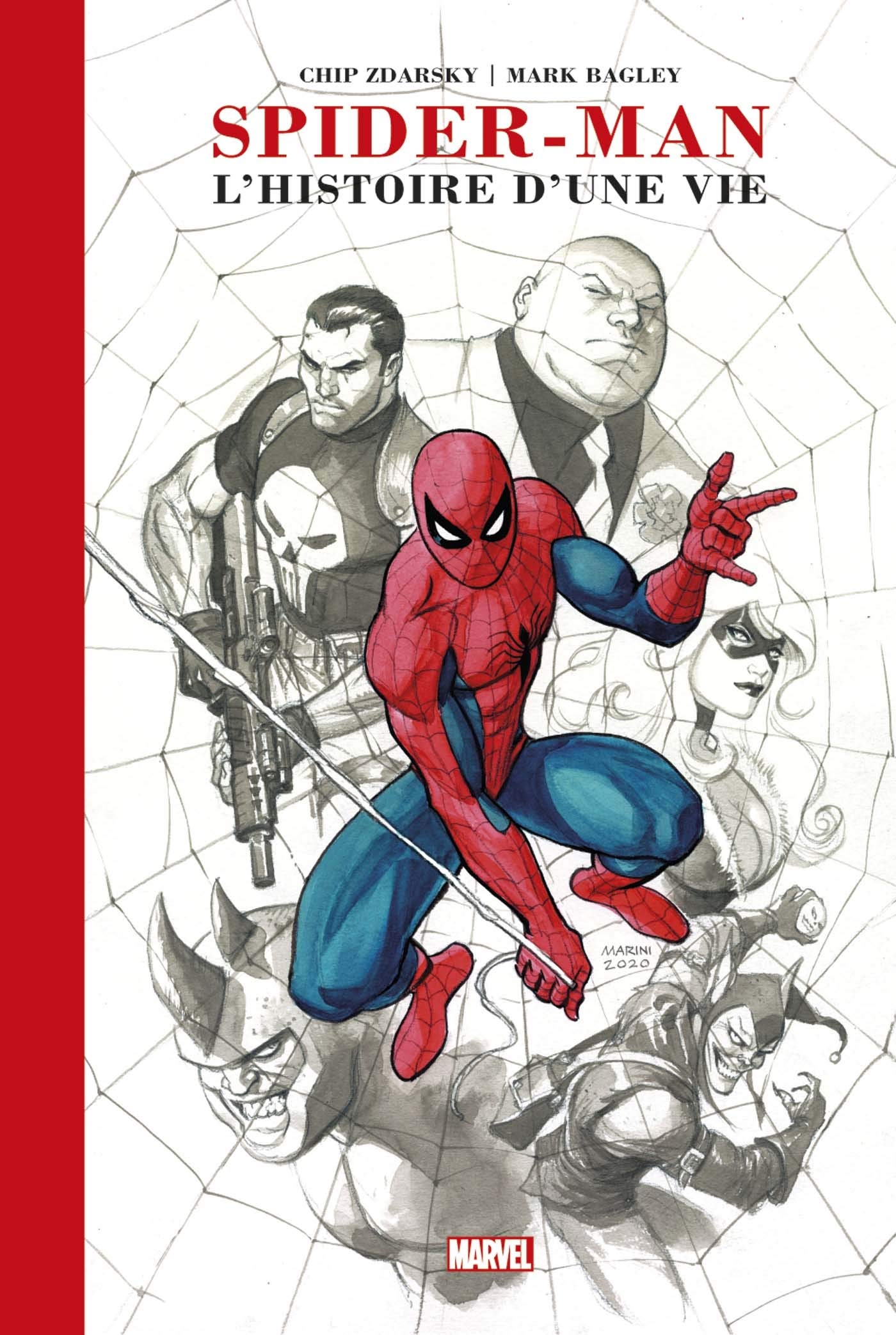 Spider-Man : l'histoire d'une vie
