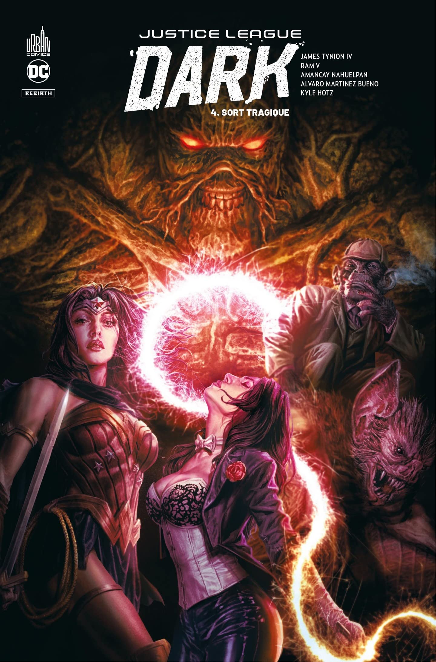 Justice League Dark Rebirth T4 : Sort Tragique
