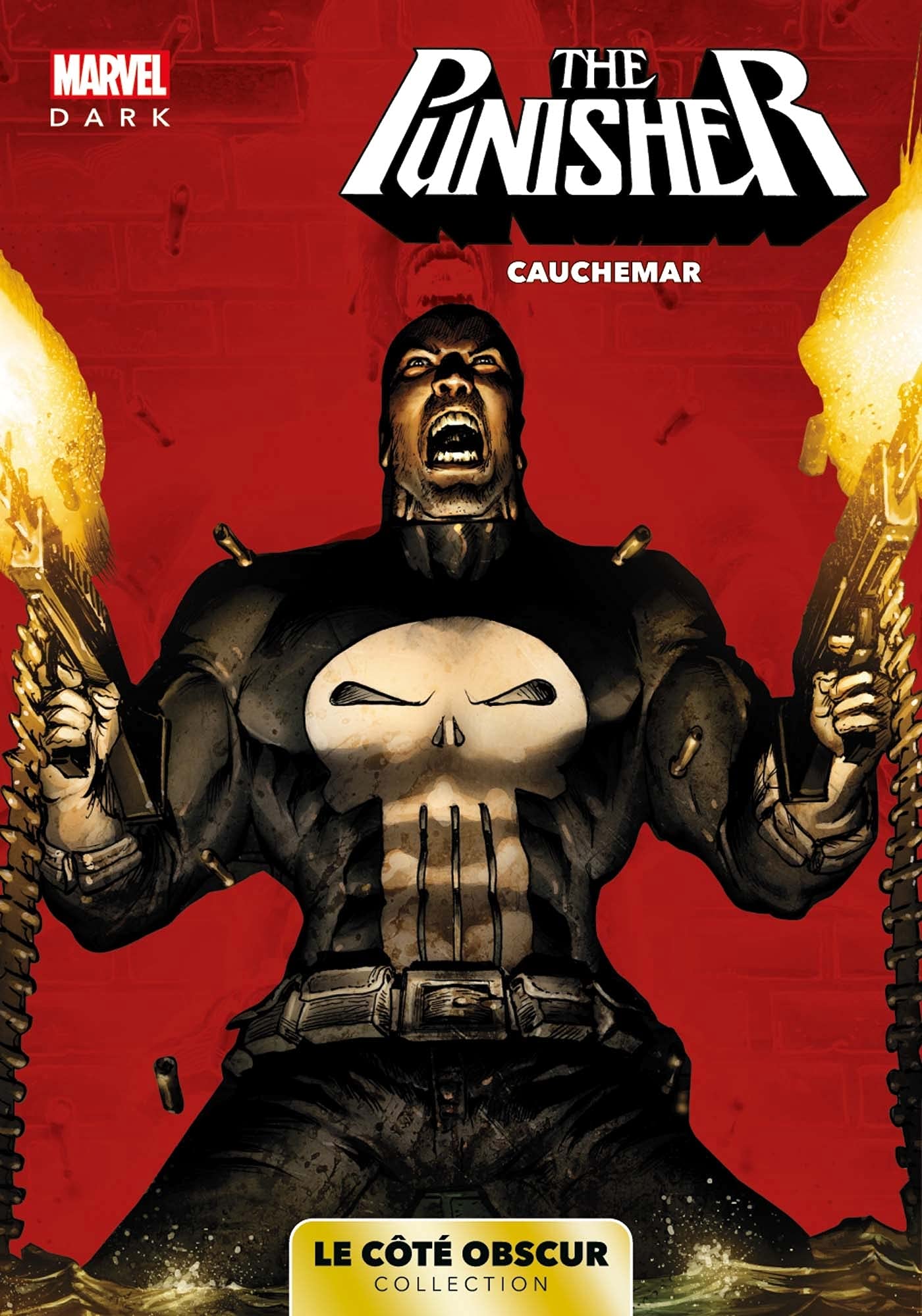 Marvel Dark Collection 07 : The Punisher : cauchemar