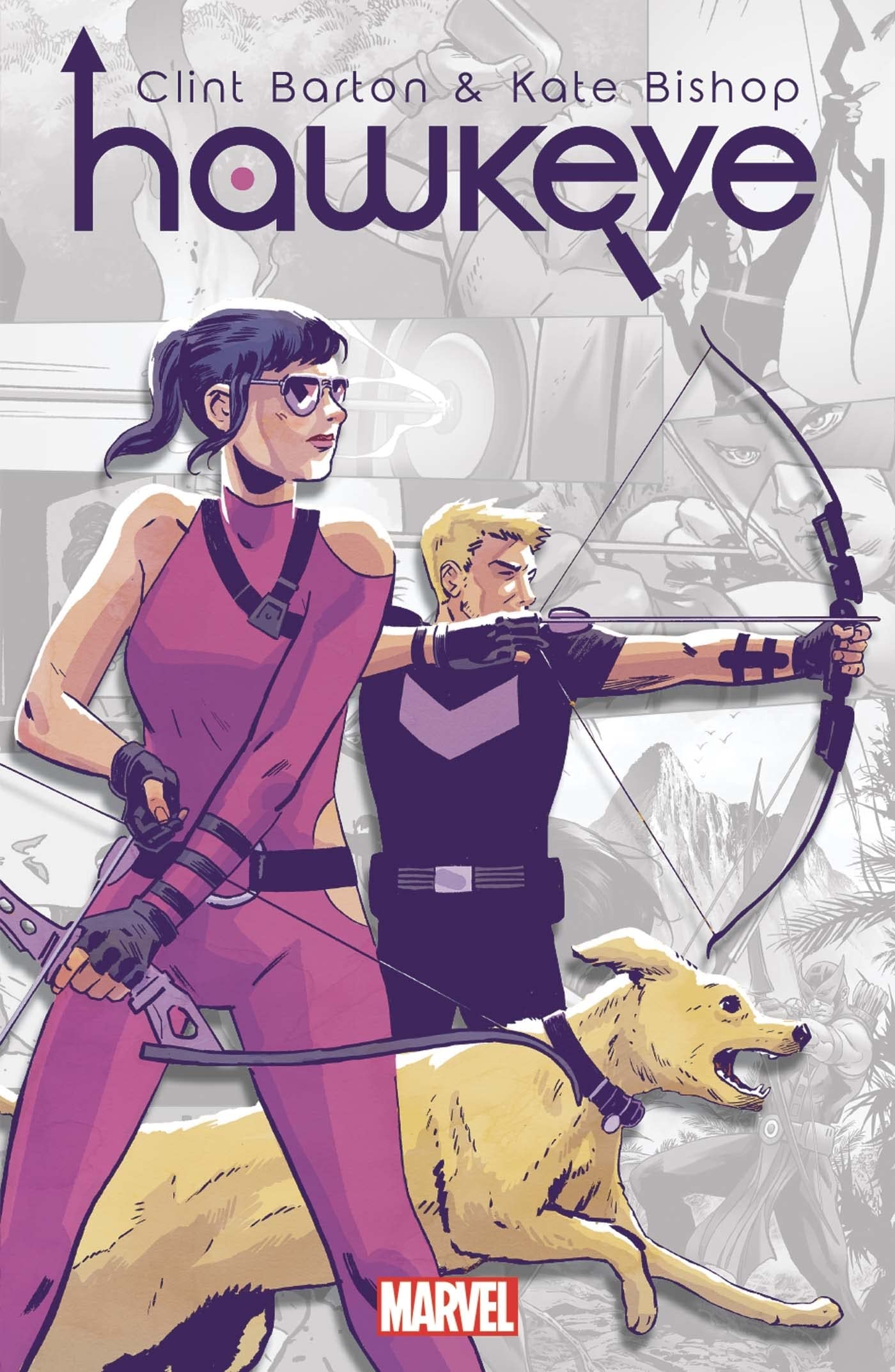 Marvel-Verse : Hawkeye