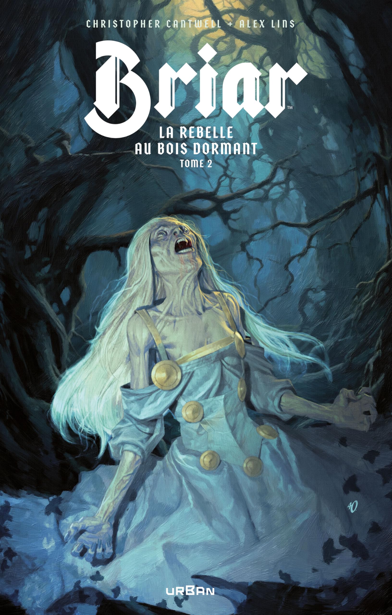 Briar, La Rebelle au bois dormant tome 2