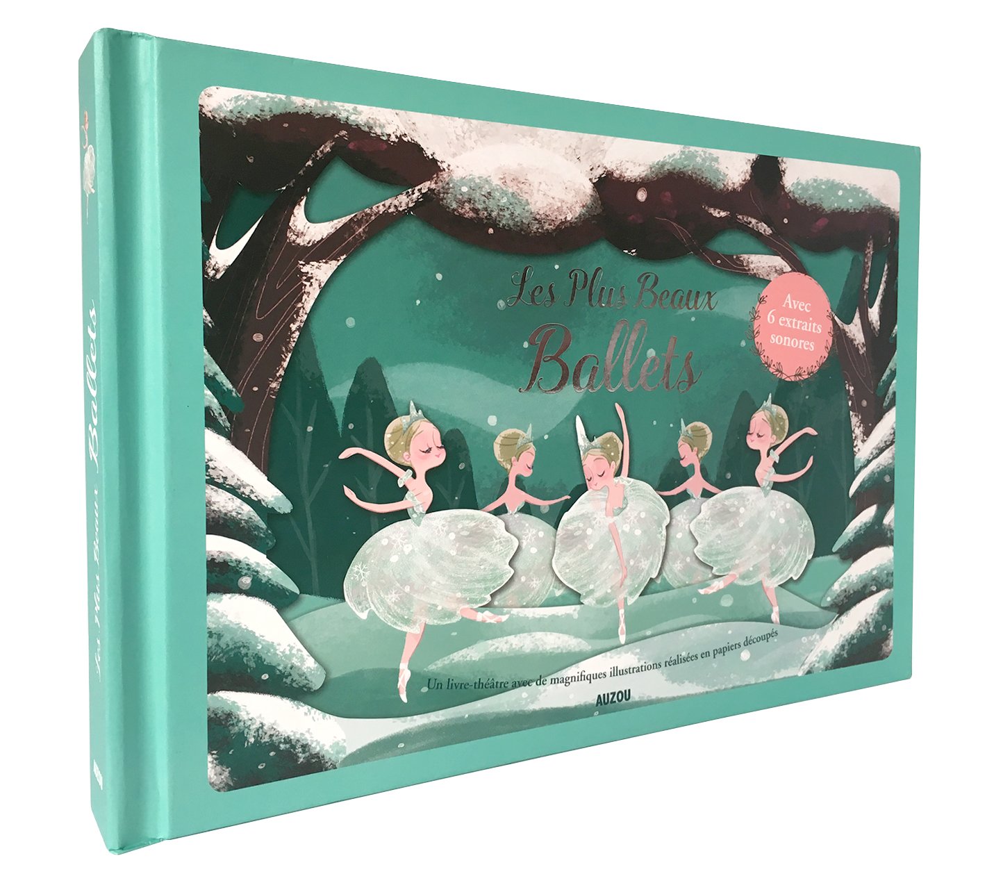 Colonisation T01 (48h BD 2019)